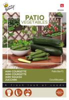 Patio Veggies, Courgette Patio Star F1 - Buzzy