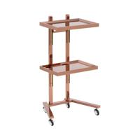 Cosmeticawagen - rolwagen - 2 opvouwbare planken - tot 10 kg - rosé goud - roestvrij staal