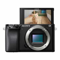 α 6100 MILC 24,2 MP CMOS 6000 x 40000 Pixels Zwart