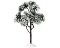 Mountain Pine Large