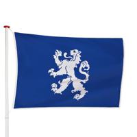 Vlag Heemskerk - thumbnail