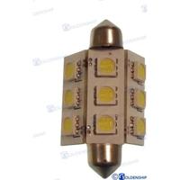 GS10530 - FESTON LAMP 9LED 2W 10/30V