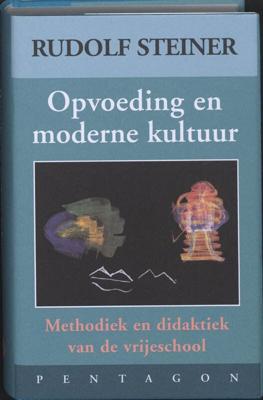 Opvoeding en moderne kultuur (Hardback)