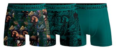 Boys 3-Pack Boxer Shorts Totemhorse Print/Green Jongens Ondergoed