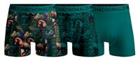 Boys 3-Pack Boxer Shorts Totemhorse Print/Green Jongens Ondergoed Boys 3-Pack Boxer Shorts Totemhorse Print/Green Jongens Ondergoed