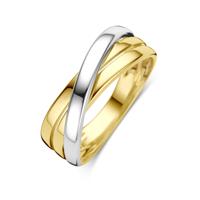 14k Bicolor Wit- en Geelgouden Ring