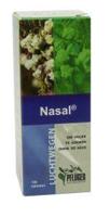 Pfluger Nasal Pfluger Nasal