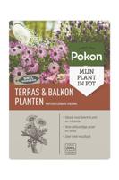Poeder wateropl 500 gr - Pokon