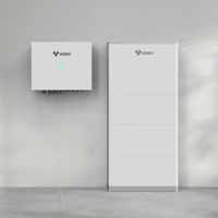 Goneo Flexi 20kWh thuisbatterij + 10kW omvormer voor 3-fase inclusief installatie