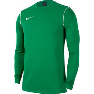 Nike Dri-FIT Park 20 Crew Trainingstrui Kids Groen