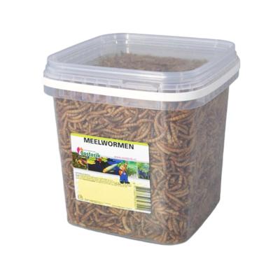 Meelwormen 2.5 liter - Suren collection