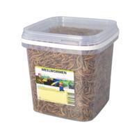 Meelwormen 2.5 liter - Suren collection