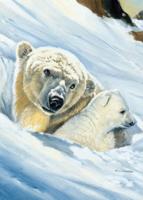 Kunstdruk Renato Casaro - Eisbär-Mama 50x70cm