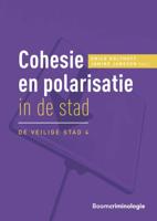 Cohesie en polarisatie in de stad (Paperback)