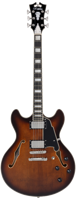 D&apos;angelico Premier DC Brown Burst