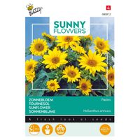Buzzy - 3 stuks Sunny flowers pacino gold - thumbnail