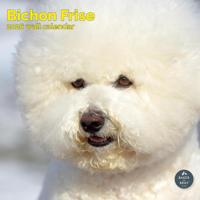 Bichon Frise Kalender 2026