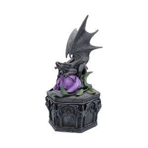 Nemesis Now - Dragon Beauty Box (AS) 25cm