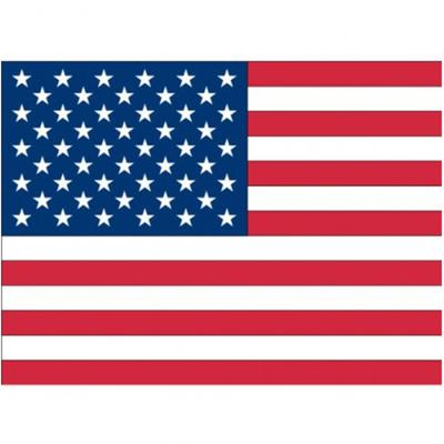 Vlag van USA/Amerika stickers - 7.5 x 10 cm - Binnen/buiten
