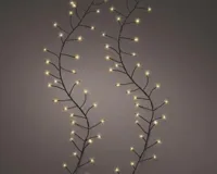 Lumineo kerstverlichting micro LED Compact lights 1440 lampjes 18m, klassiek warm