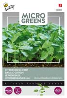 Microgreens Citroenbasilicum - Buzzy