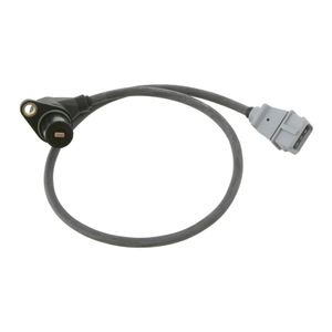 Nokkenassensor 24349