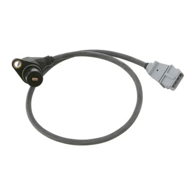 Nokkenassensor 24349