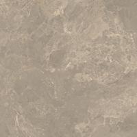 Vloertegel Verde Cosmopolitan 120x120 cm Stonelook Mat Donkergrijs Verde