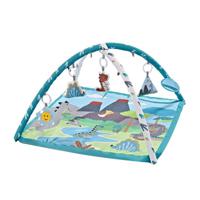 Chipolino Jurassic Park Babygym Activity Speelkleed met Geluid