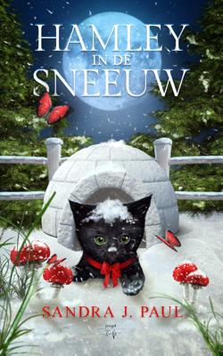 Hamley in de Sneeuw (Hardback)