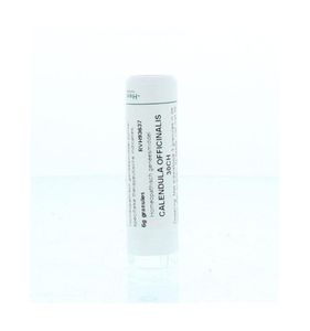 Calendula officinalis 30CH