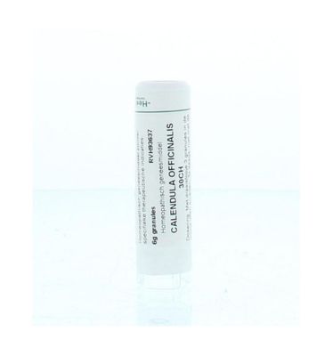 Calendula officinalis 30CH