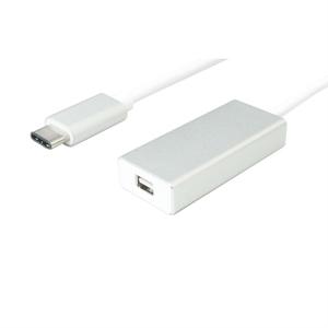 Value 12.99.3225 USB-C-displaykabel USB-C / Mini-displayport Adapterkabel USB-C stekker, Mini DisplayPort-bus 0.10 m Zilver (metallic)