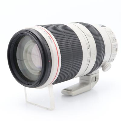 Canon EF 100-400mm F/4.5-5.6 L IS USM II occasion
