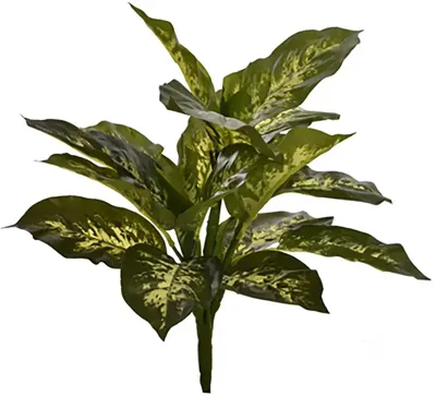 Pure Royal kunstplant diefenbachia 41cm groen