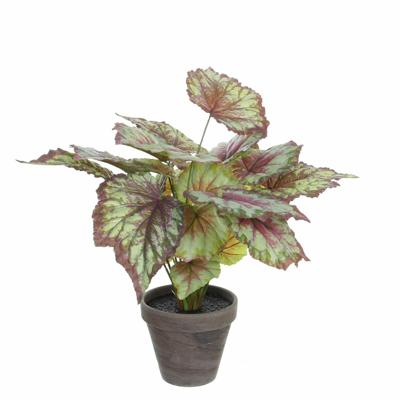 Mica Decorations Kunstplant - begonia - rood - in pot - 38 x 40 cm - kunstplanten