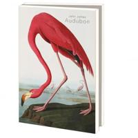 Kaartenmapje Groot: John James Audubon, Teylers Museum