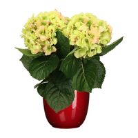 Hortensia kunstplant/kunstbloemen 36 cm - groen/roze - in pot rood glans - thumbnail