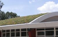 Sedummixmat Compleet (incl. drainage type 11c & daktuinsubstraat) per 1.2 m2 max. 25 graden - Sempergreen