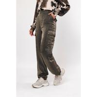 Pant shine Pant shine