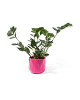 HEMA Bloempot Ø12x13cm Keramiek Roze (felroze)