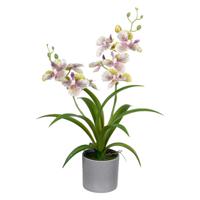 Louis Maes Orchidee bloemen kunstplant in  bloempot - creme/lila bloemen - H38 cm   - - thumbnail