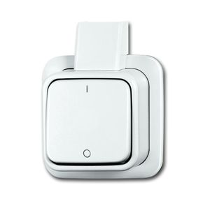 Dubbelpoligeschakelaar opbouw wit 2601 2 APJW BJ