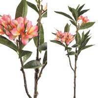 PTMD Garden Flower pink plumeria spray w leaves - thumbnail