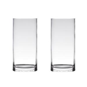 Set van 2x stuks hakbijl glass vaas - cilinder vorm - transparant - 40 x 12 cm - home-basics vazen