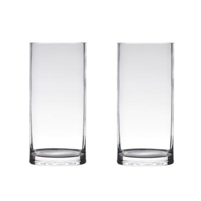 Set van 2x stuks hakbijl glass vaas - cilinder vorm - transparant - 40 x 12 cm - home-basics vazen