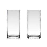Set van 2x stuks hakbijl glass vaas - cilinder vorm - transparant - 40 x 12 cm - home-basics vazen