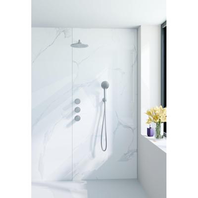 Fortifura Nebbio Regendoucheset - inbouwkraan - inbouwdeel - wandaansluitbocht- doucheslang metaal - staafhanddouche - 35cm wandarm - ronde hoofddouche - geborsteld RVS PVD (RVS) SW1183066 SW1183079 SW542645 SW706208 SW496812 SW7