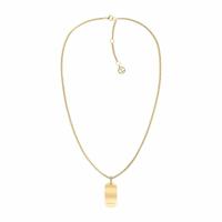 Dames ketting Tommy Hilfiger 2780862 50 cm