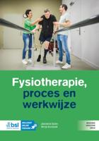 Fysiotherapie, proces en werkwijze (Paperback)